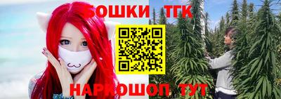 индика Донецк