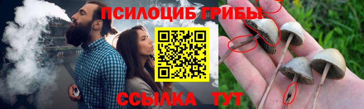 Минусинск  Галлюциногенные грибы MAGIC MUSHROOMS  Вход с VPN 